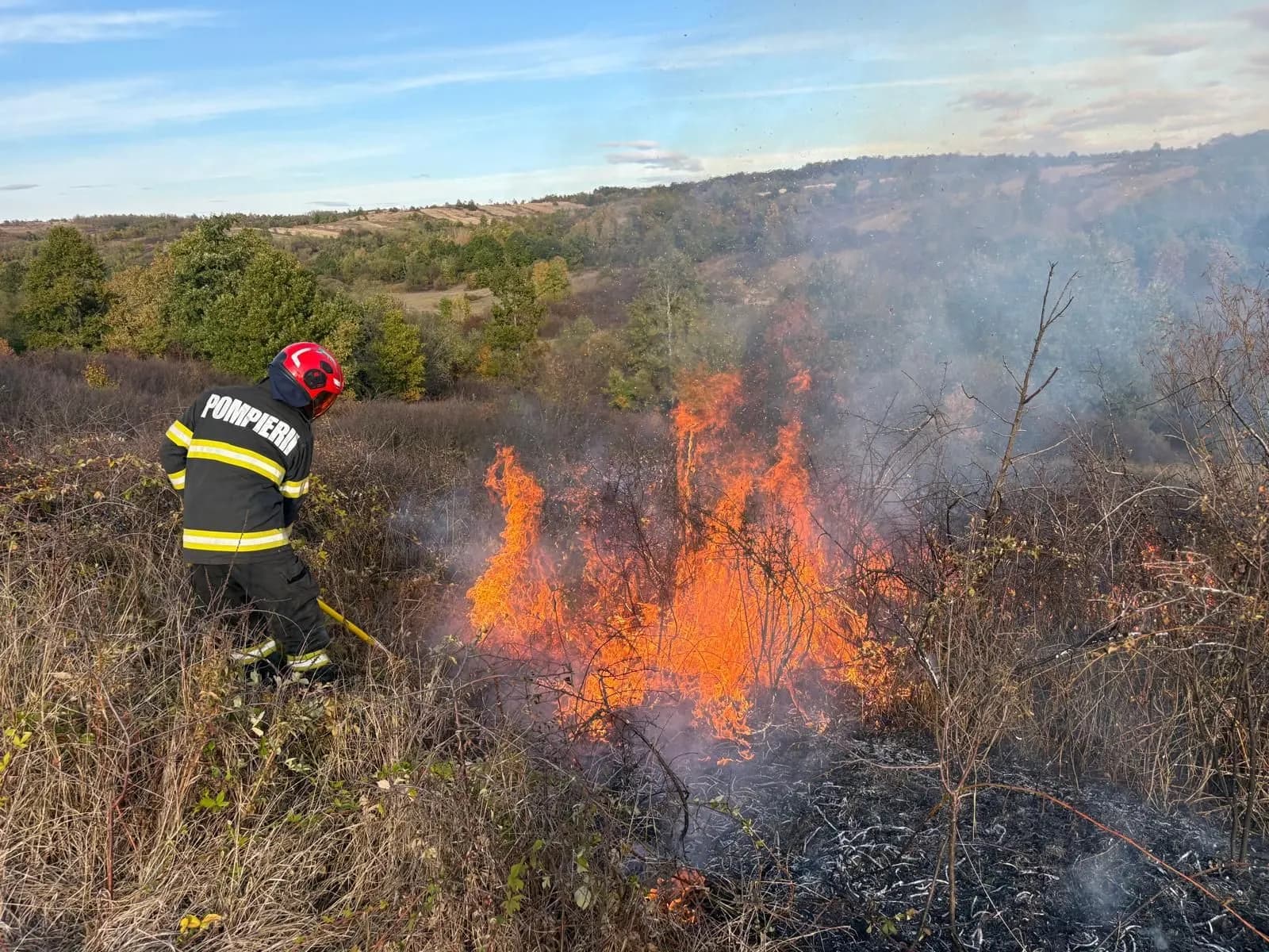Vegetație uscată în Timiș: peste 50 ha în cinci incendii, între Lugoj și Făget