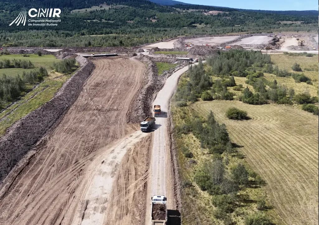 Timișoara: reparații pe 17 străzi azi, de la Sepia la Brâncoveanu
