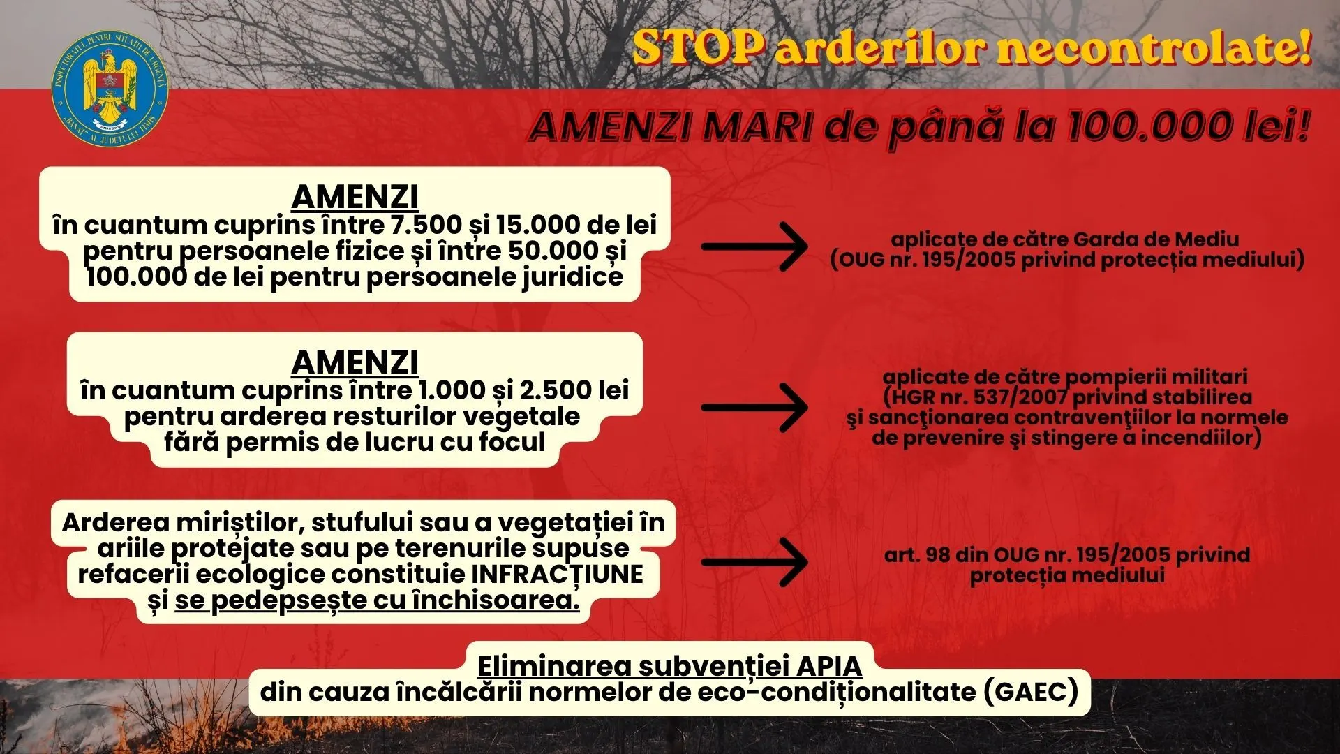 Lugoj și Buziaș: cinci incendii de vegetație, peste 25 de hectare
