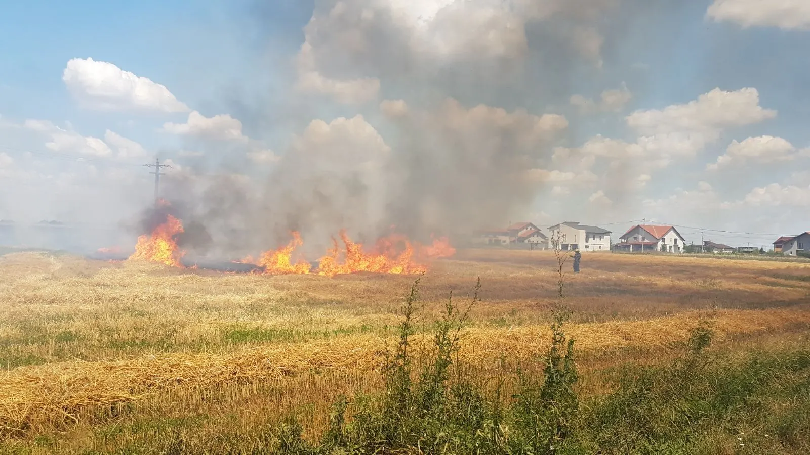 Timiș: 23 de incendii de vegetație uscată pe aproape 100 de hectare